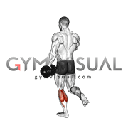 Single-Leg Standing Calf Raise demonstration