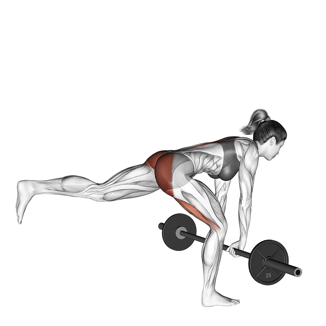 Single-Leg Romanian Deadlift demonstration